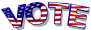 usa_vote_sw.gif