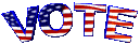 usa_vote_mc.gif