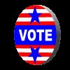 election_day_vote_mc.gif