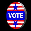 election_day_vote_mb.gif