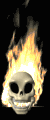 skull_with_fire_mb.gif