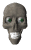 skull_look_sw.gif