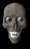 skull_look_mb.gif