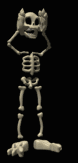 skeleton_with_loose_h_a_lb.gif