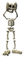 skeleton_with_loose_h_a_hr.jpg