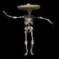 skeleton_wearingsombr_a_mc.gif