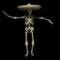 skeleton_wearingsombr_a_mb.gif