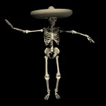 skeleton_wearingsombr_a_lb.gif
