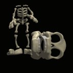 skeleton_losing_its_h_a_lb.gif