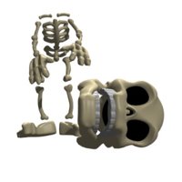 skeleton_losing_its_h_a_hr.jpg