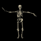 skeleton_dancing_sb.gif