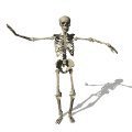 skeleton_dancing_mw.gif