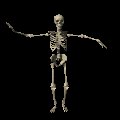 skeleton_dancing_mc.gif