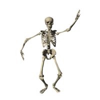 skeleton_dancing_hr.jpg