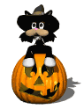 pumpkin_hat_mw.gif