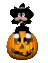 pumpkin_cat_sc.gif