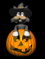 pumpkin_cat_mb.gif