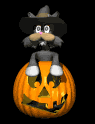 pumpkin_cat_lb.gif