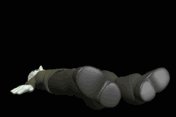 monster_frankensteinc_lb.gif