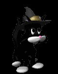 cat_hat_lc.gif