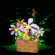 maybasket_sb.gif