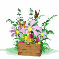 maybasket_mw.gif