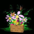 maybasket_mb.gif
