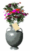 vase_flowers_sw.gif