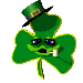 shamguy_mc.gif