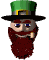 leprecaun_sw.gif