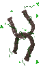 horseshoe_luck_sc.gif
