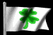 flag_sham2_mb.gif