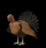 turkeyjump_mb.gif