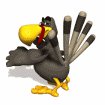 turkey_shaking_tail_f_a_mw.gif