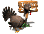 turkey_season_sw.gif