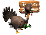 turkey_season_sc.gif