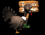 turkey_season_sb.gif