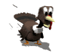 turkey_running_mw.gif