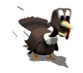 turkey_running_lw.gif