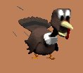 turkey_running_lc.gif