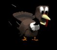 turkey_running_lb.gif
