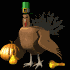 turkey_look_mb.gif