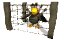 turkey_in_a_coop_tw.gif