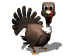 turkey_blink_sw.gif
