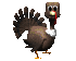 turkey_blink_sc.gif
