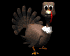 turkey_blink_sb.gif