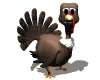 turkey_blink_mw.gif