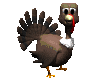 turkey_blink_mc.gif