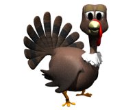 turkey_blink_hr.jpg