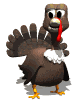 toon_turkey_look_mw.gif